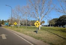 MDP Opinion Homo Argentum Rotondum ¿Por qué las Rotondas son el Desafío Perfecto para el Conductor Argentino?