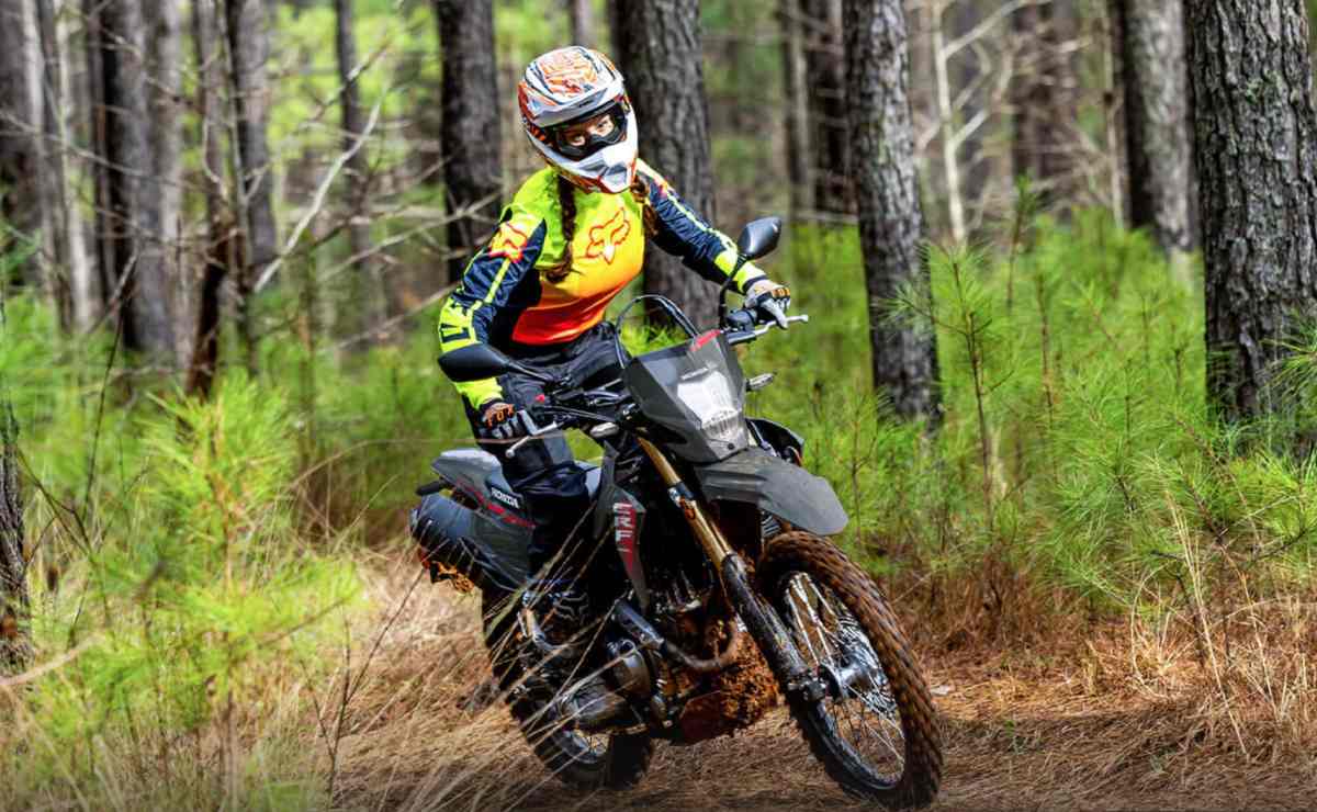 MDP honda crf 300 ls 3 Honda CRF300LS: La evolución perfecta para los que inician en el mundo dual sport