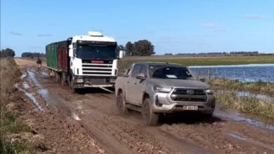 MDP Viral Toyota Hilux campo ¿Puede una Pick-up Superar Desafíos Impensados? La Toyota Hilux Pondrá a Prueba sus Límites