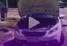 MDP Mecanico milei ¿Cómo Impactan las Medidas Económicas de Javier Milei en Tu Transporte Diario?