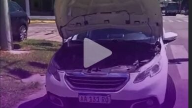 MDP Mecanico milei ¿Cómo Impactan las Medidas Económicas de Javier Milei en Tu Transporte Diario?