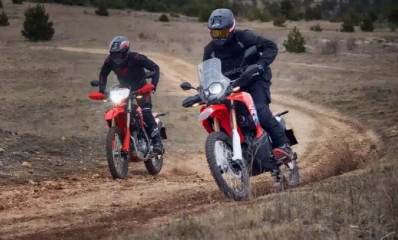 MDP honda crf 300l red edition Honda CRF300L Red Edition: La Nueva Joya Off Road que Reinventa la Aventura