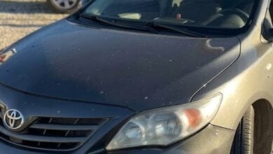 MDP toyota corolla 1 El Toyota Corolla: ¿El Rey de la Durabilidad Automotriz?