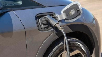 MDP BYD Dolphin ¿El BYD Dolphin ampliará su oferta hacia los híbridos enchufables?