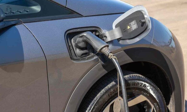 MDP BYD Dolphin ¿El BYD Dolphin ampliará su oferta hacia los híbridos enchufables?