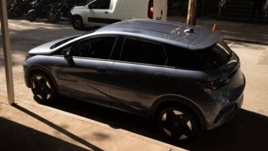 MDP BYD Dolphin Special Edition perfil 1 BYD Dolphin Special Edition: ¿La versión que los amantes de los eléctricos esperaban?