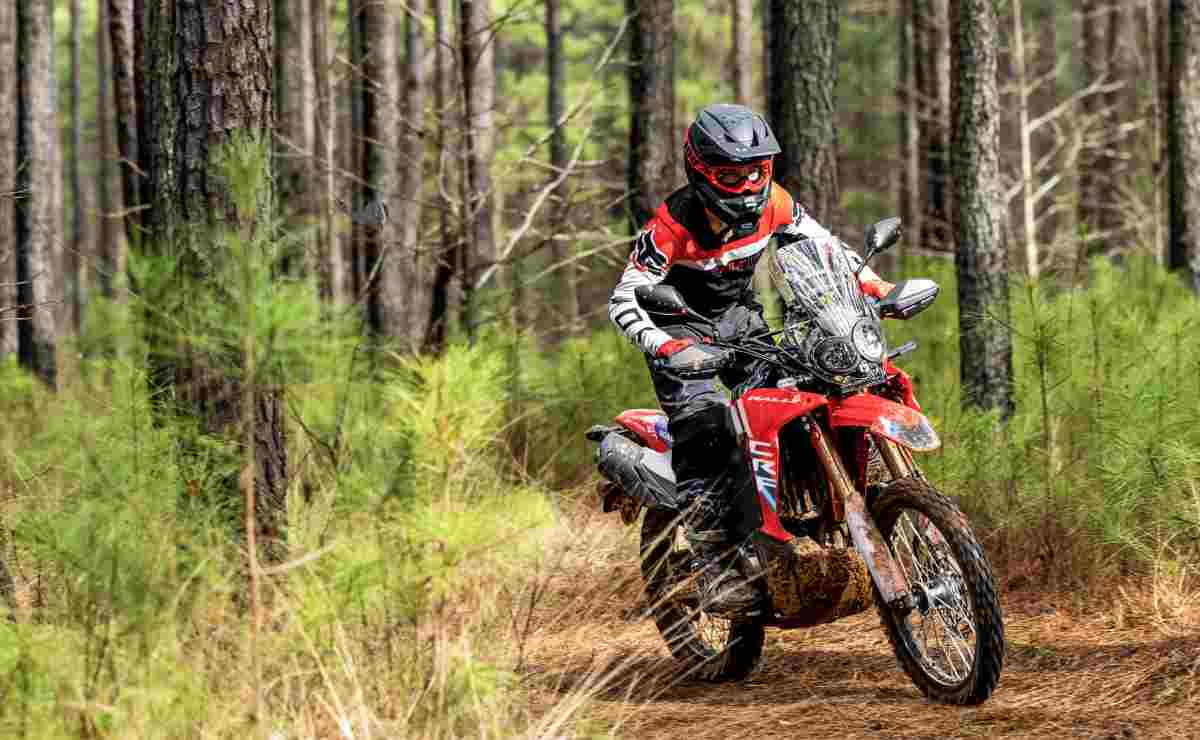 ¿Debería la Honda CRF300 Rally conquistar tierras argentinas? Una mirada a su potencial impacto MDP honda crf 300l rally 1 ¿Debería la Honda CRF300 Rally conquistar tierras argentinas? Una mirada a su potencial impacto