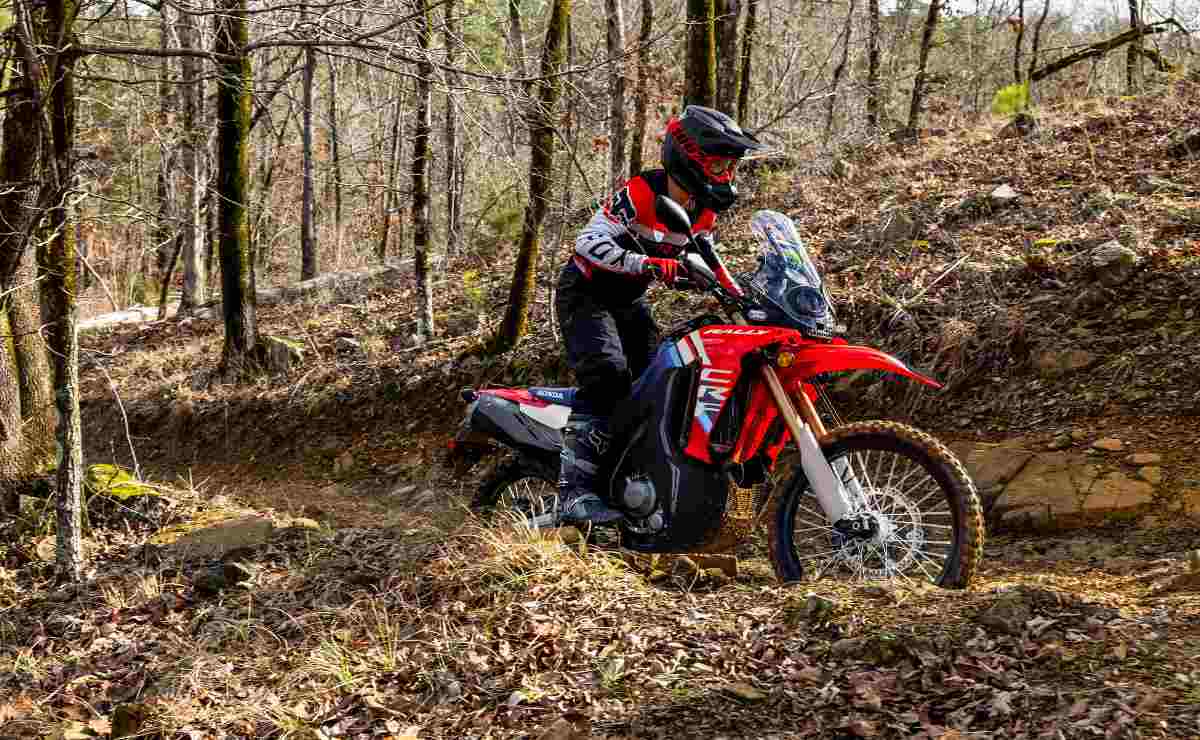 ¿Debería la Honda CRF300 Rally conquistar tierras argentinas? Una mirada a su potencial impacto MDP honda crf 300l rally ¿Debería la Honda CRF300 Rally conquistar tierras argentinas? Una mirada a su potencial impacto