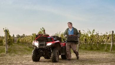 MDP honda trx420 Honda TRX420: El Cuatriciclo que Marca un Nuevo Capítulo Industrial en Argentina