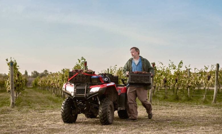 MDP honda trx420 Honda TRX420: El Cuatriciclo que Marca un Nuevo Capítulo Industrial en Argentina