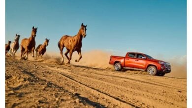 MDP RAM precios RAM Revoluciona el Mercado con Propuestas de Financiación para sus Pick Ups en Mayo