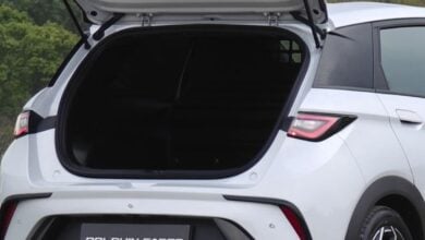 MDP byd dolphyn cargo e van ¿Por qué el BYD Dolphin Cargo e-Van está conquistando el mercado?