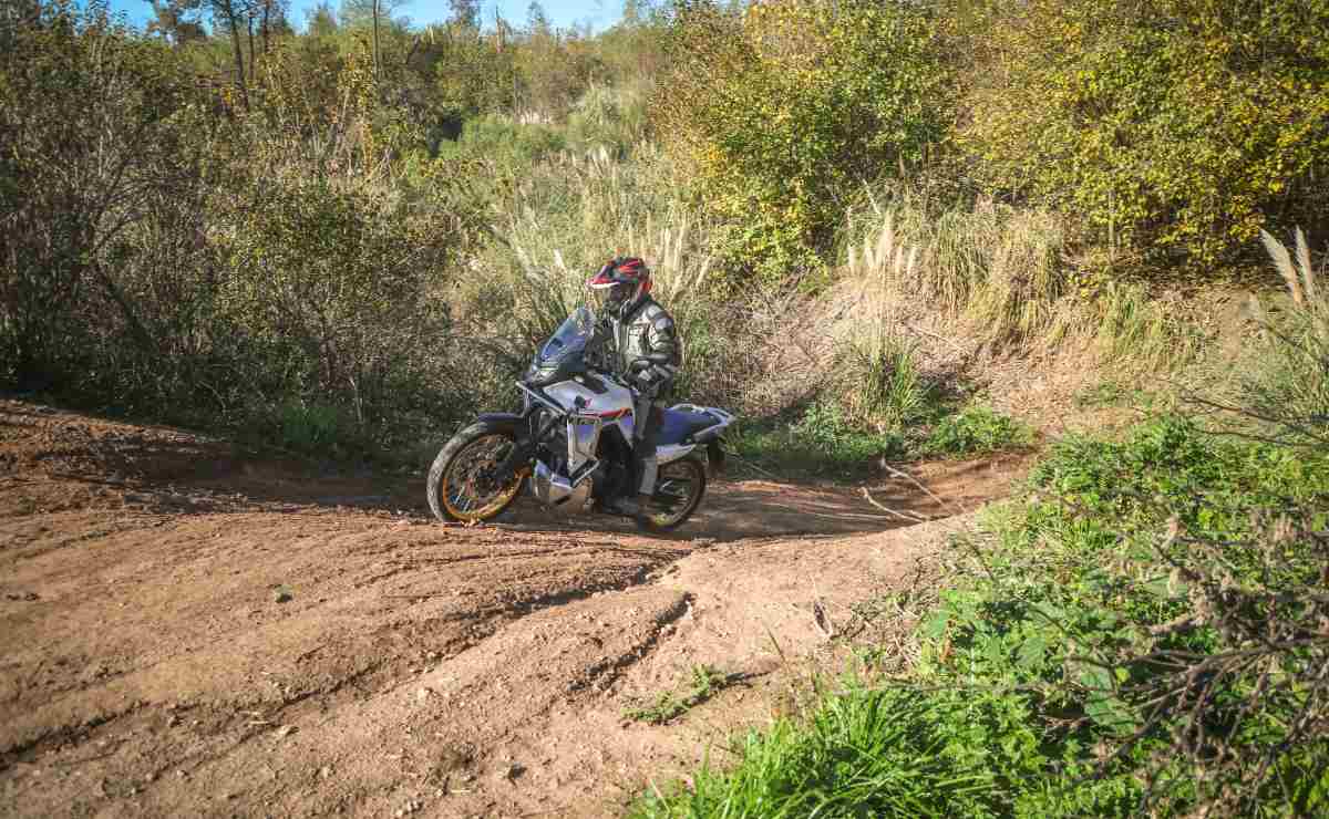 Honda XL750 Transalp: La Triumph del Año en el Mercado Adventure MDP honda transalp 750 Honda XL750 Transalp: La Triumph del Año en el Mercado Adventure