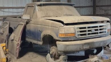 MDP ford f 150 abandonada rescate2 El Renacimiento de una Leyenda: La Ford F-150 de 1992 Rescatada Tras 27 Años de Olvido